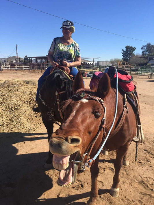 Poise™ EQ74 | Horse Nervous System, Energy & Equilibrium