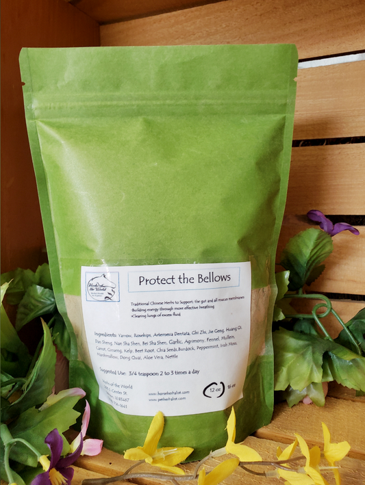 Protect the Bellows | For People