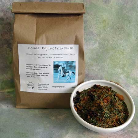 Cellular Equine Detox Flush™ EQ15 full body glands, pituitary , organs, muscles support