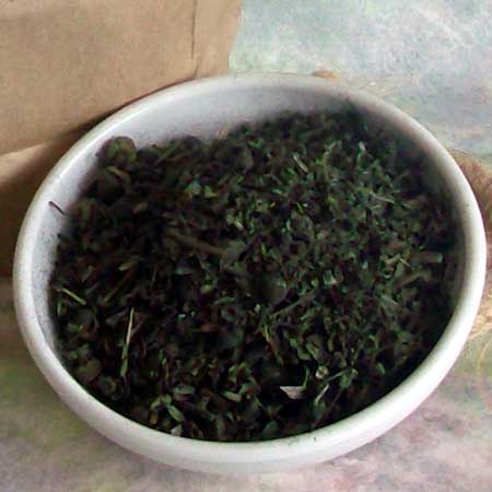 Easy Rider™ With Charcoal EQ20 | Horse Digestion & Nervous System Care