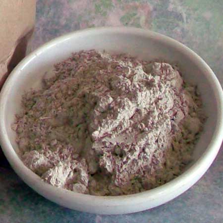 Paragone™ P48 | Pet Wormer