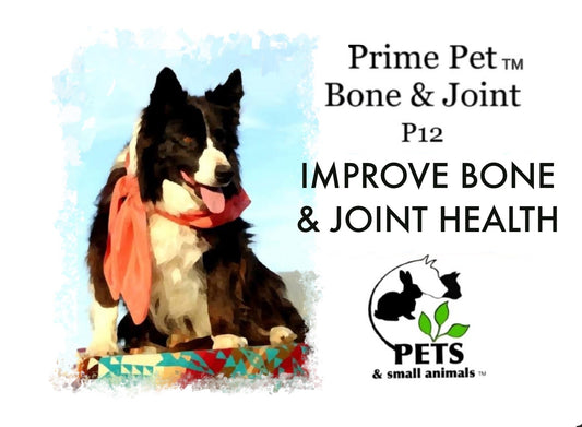 Prime Pet Bone & Joint™ P12 | Dog & Cat Immune, Over All Support