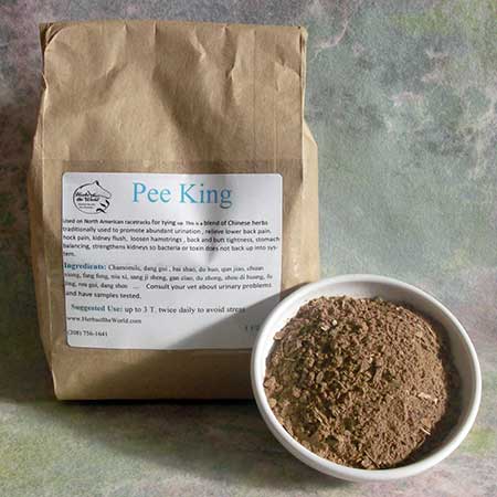 Pee King™ EQ36 | Horse Urination Health