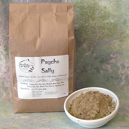 Psycho Sally™ EQ41 | Hyper Mare Support