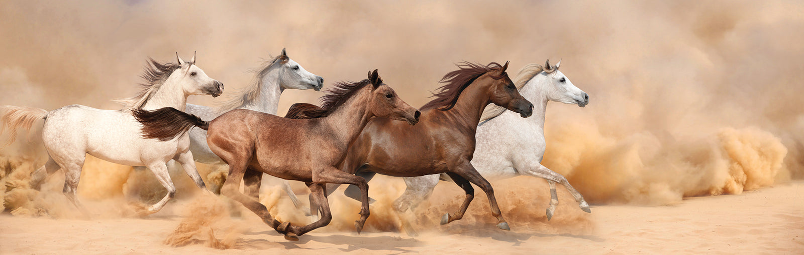 Herbs of the World, Natural Farm Store