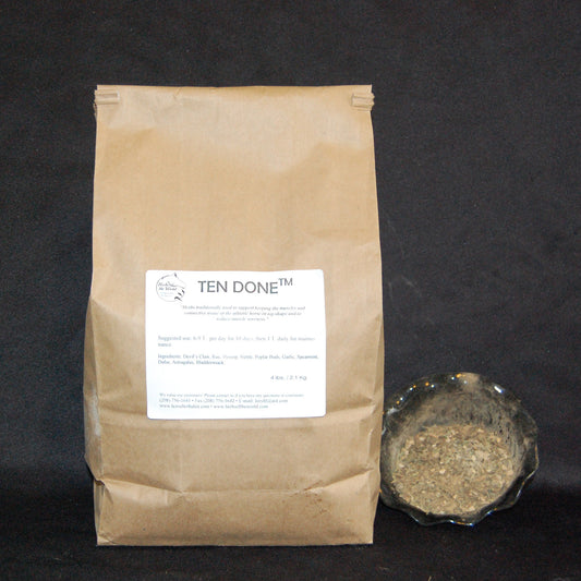Ten Done™ EQ38 | Equine Muscle, Tendon & Ligaments Support