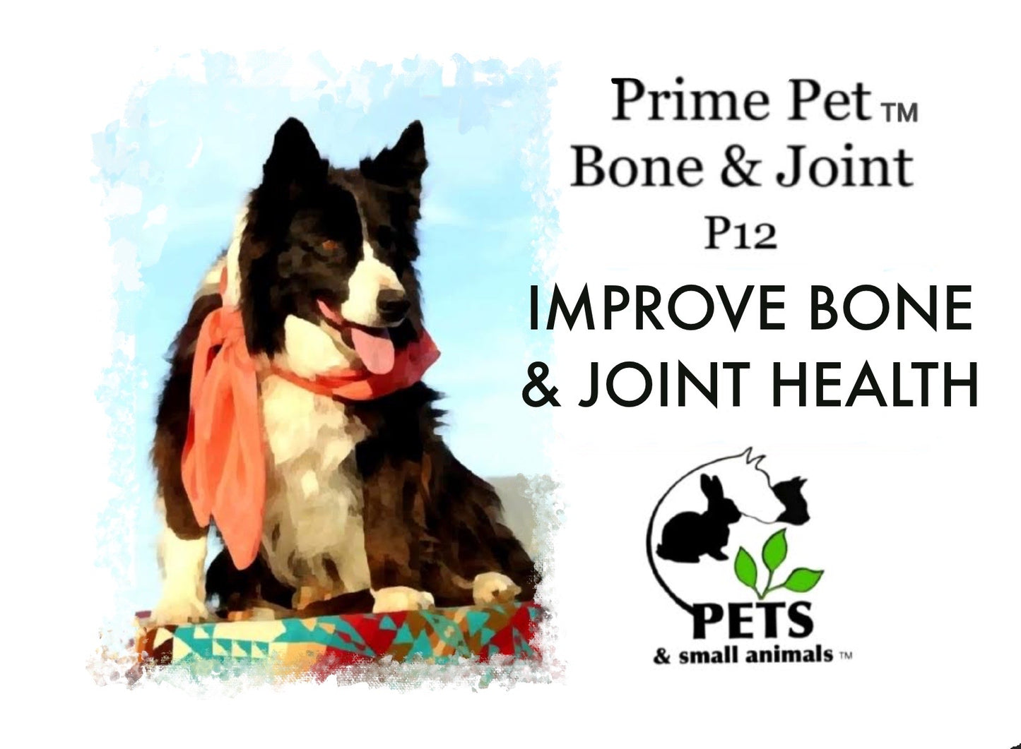 Prime Pet Bone & Joint™ P12 | Dog & Cat Immune Support